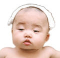 Bdk