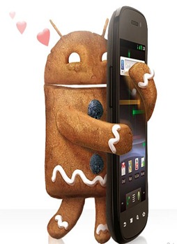 nexus-s-tips
