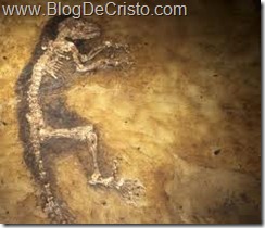 Geología