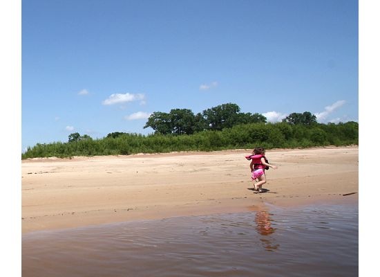 [rat2[3].jpg]