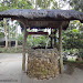 A lovely view at Malagos Garden Resort