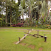 Malagos davao Garden