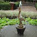Swan Fountain at Malagos Garden Resort