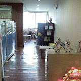 SNC00609.jpg