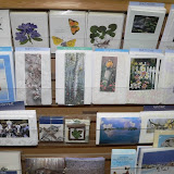 Bird- and nature-themed cards for all occasions