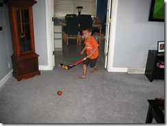 IMG_5174 (Small) IMG_5174 (Small)