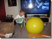 IMG_5473 (Small) IMG_5473 (Small)