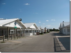 IMG_6024 IMG_6024