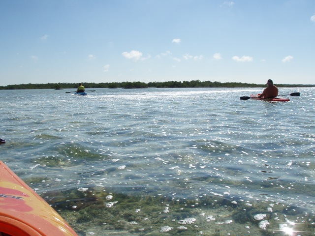 [03152008 006[4].jpg]