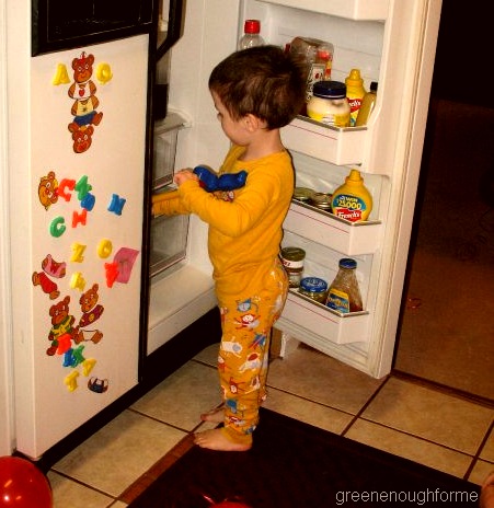 [fridgefishin[25].jpg]