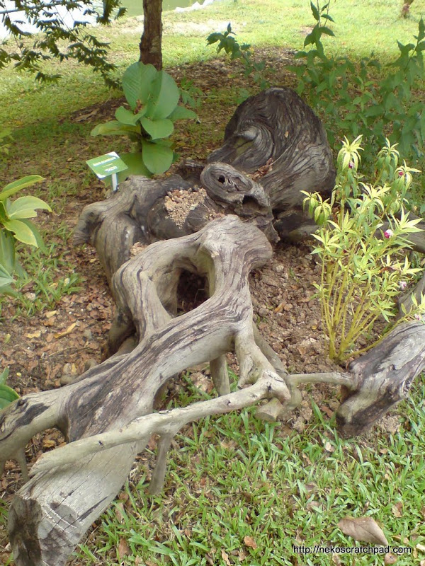 Interesting log