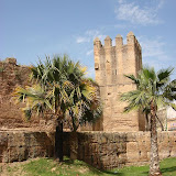 DSC08348.JPG
