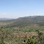 The view
