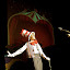 The Circus McGurkus The Circus McGurkus