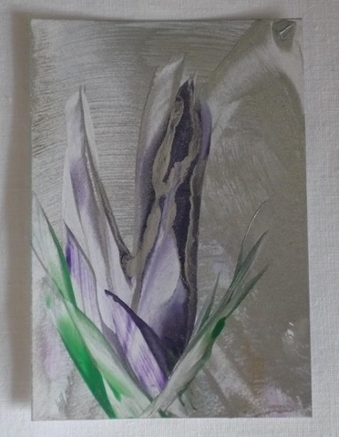 [Wild flower purple on silver[4].jpg]
