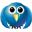 bird-blue