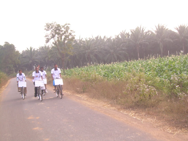 Cool Breeze in the evening bicycle ride....