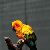 IMG_8302.jpg