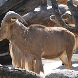 IMG_8315.jpg