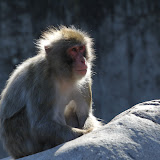 IMG_8323.jpg