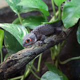 IMG_8544.jpg
