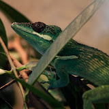 IMG_8549.jpg