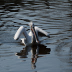 IMG_8813.jpg