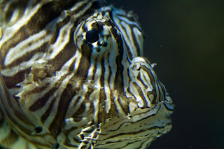 IMG_9090.jpg