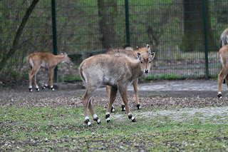 IMG_9972.jpg