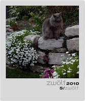 5-zwoelf2010-polaroid.jpg