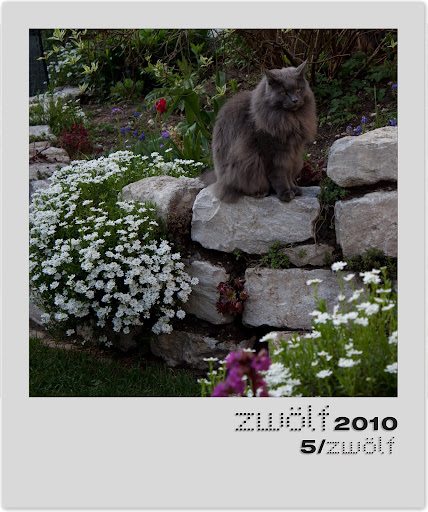 5-zwoelf2010-polaroid.jpg