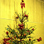 Cristmas tree Cristmas tree