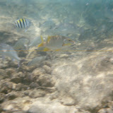  &ndash; 08-Jul-2007
