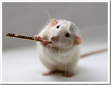awesome and cool musical mouse5