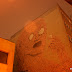 IMG_4941-1.JPG