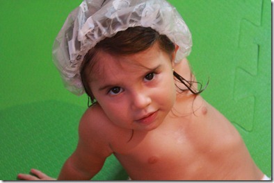 IMG_2445 IMG_2445