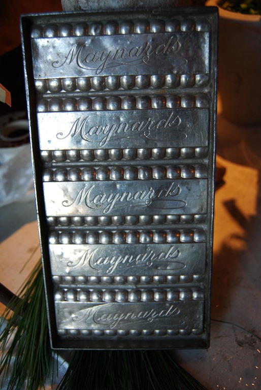 [maynard-16.jpg]