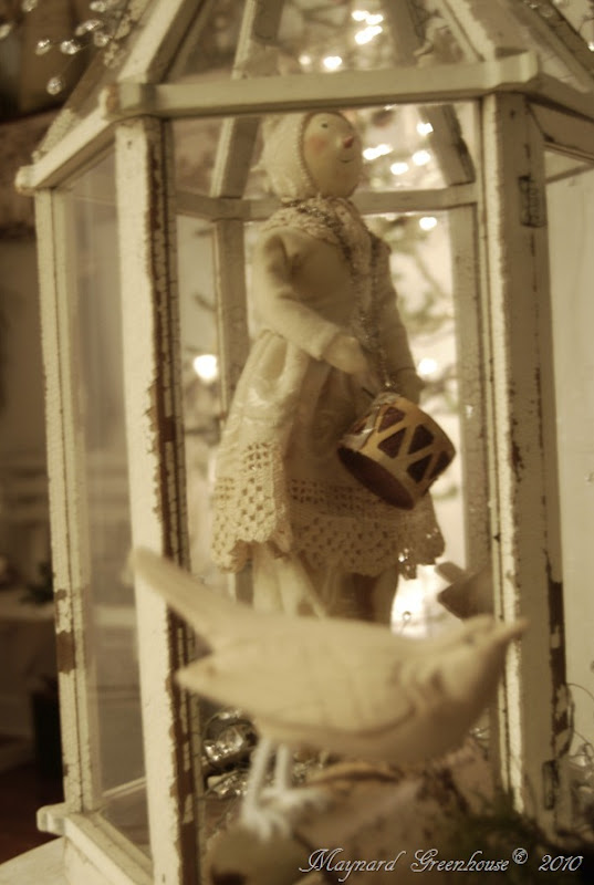 doll doll