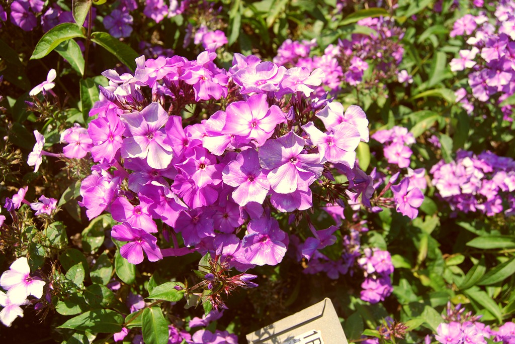 [Plant-Group-_329open-house12.jpg]