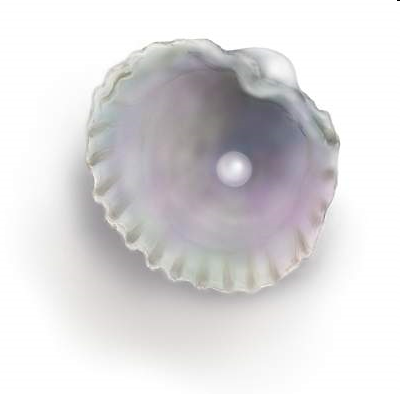 [image[2].png]