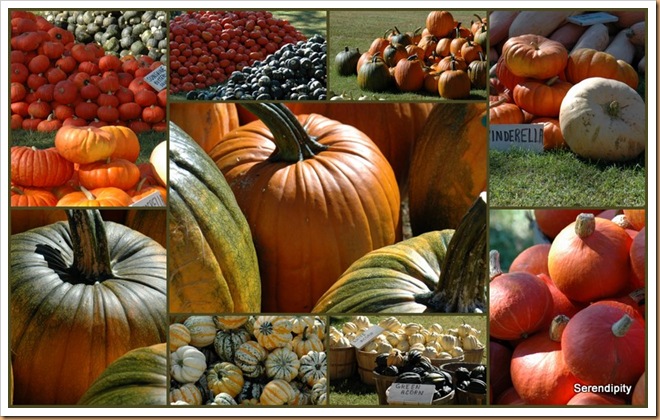 pumpkin Mosaic1