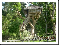 Pose sa treehouse..