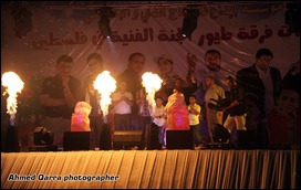 طيور الجنة في غزة طيور الجنة في غزة