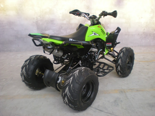 250cc Sports Quad Bike Rear 250 Raptor Design Green