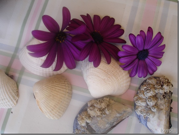 DSC05835 DSC05835