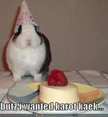 [funny-pictures-your-rabbit-wanted-carrot-cake-instead[4].jpg]