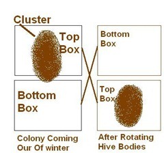 [Winter Cluster Drawing[3].jpg]