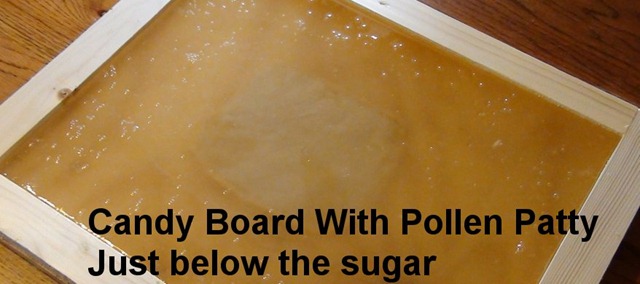 [Candyboard4[3].jpg]