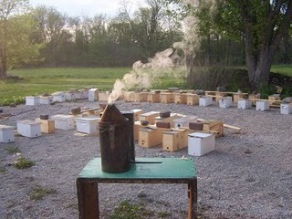 [sting9[2].jpg]