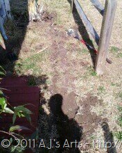 [cedar bed goes all the way down[3].jpg]